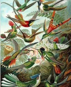 A Flock Of Birds Painting By Number