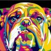 Abstract Bulldog Painting By Number