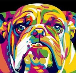 Abstract Bulldog Painting By Number