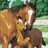 Abstract Horse And Baby Painting By Number