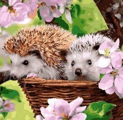 Adorable Hedgehog Painting By Number