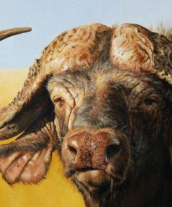 African Buffalo Painting By Number