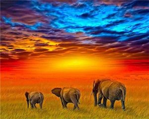 African Safari Elephants Painting By Number