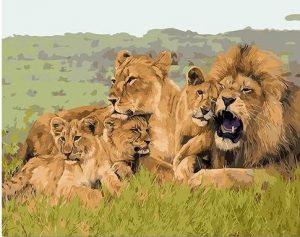 African Lion Family Painting By Number