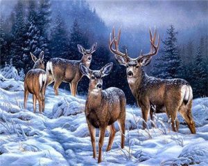 Alaska Deers Painting By Number