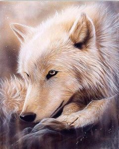 Alaskan Gray Wolf Painting By Number