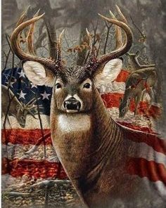 American Deer Painting By Number