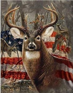 American Deer Painting By Number