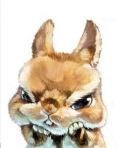 Angry Rabbit Painting By Number