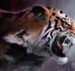 Angry Tiger Painting By Number