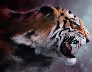 Angry Tiger Painting By Number