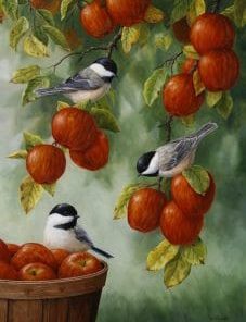 Apple Tree Painting By Number