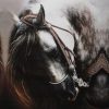 Arabic Horse Painting By Number