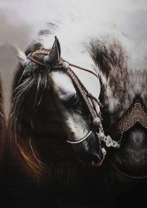 Arabic Horse Painting By Number