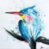 Arctic Tern Painting By Number