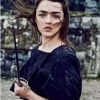 Arya Stark Painting By Number