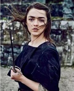 Arya Stark Painting By Number