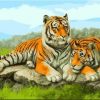 Ashian Tigers Painting By Number