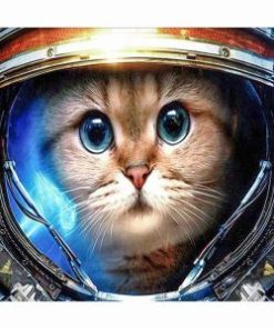 Astronaut Cat Painting By Number