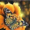 Autumn Butterfly Painting By Number