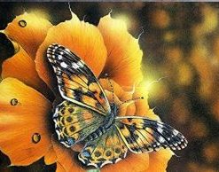 Autumn Butterfly Painting By Number