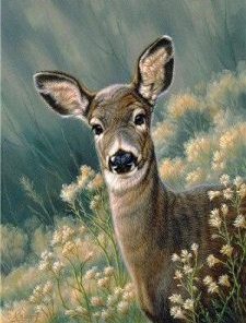 Autumn Fawn Deer Painting By Number