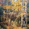 Autumn Forest Deers Painting By Number