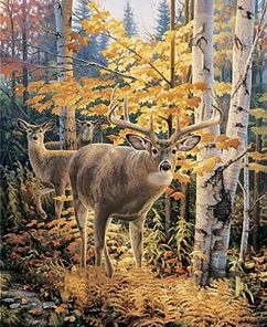 Autumn Forest Deers Painting By Number