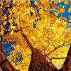 Autumn Ginkgo Painting By Number