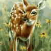 Baby Deer Painting By Number