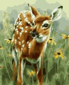 Baby Deer Painting By Number