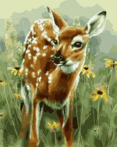 Baby Deer Painting By Number