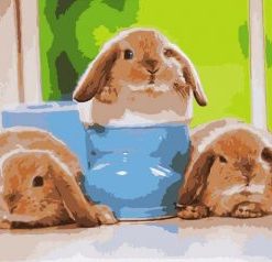 Baby Rabbits Painting By Number