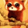 Baby Red Panda Painting By Number