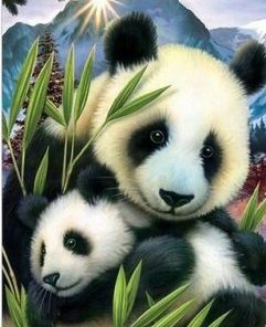 Bamboo Panda Painting By Number