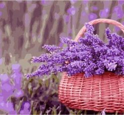 Basket Of Purple Flowers Painting By Number