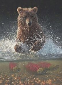 Bear Catching Fish Painting By Number