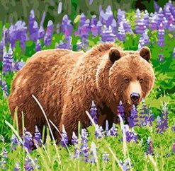 Bear In A Lavender Field Painting By Number