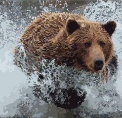 Bear On Water Painting By Number