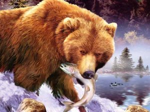 Bears Eat Fish Painting By Number