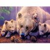 Bears Family Painting By Number