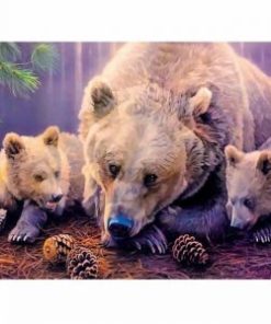 Bears Family Painting By Number