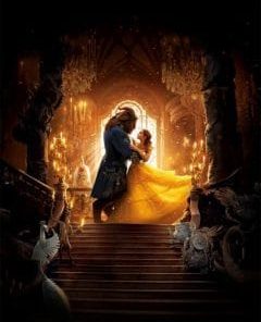 Beauty And The Beast Painting By Number