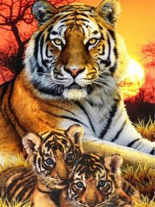 Bengal Tiger Family Painting By Number