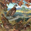 Bevy Of Quails Painting By Number