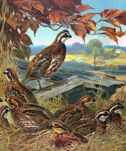 Bevy Of Quails Painting By Number