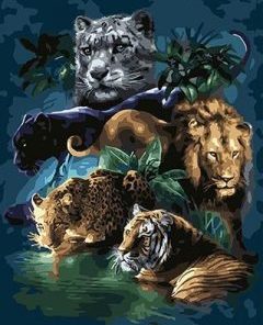 Big Cat Painting By Number