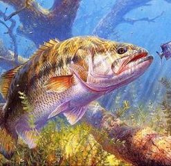 Big Fish Painting By Number