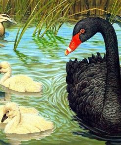 Black Duck Painting By Number