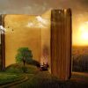 Big Book In Forest Painting By Number